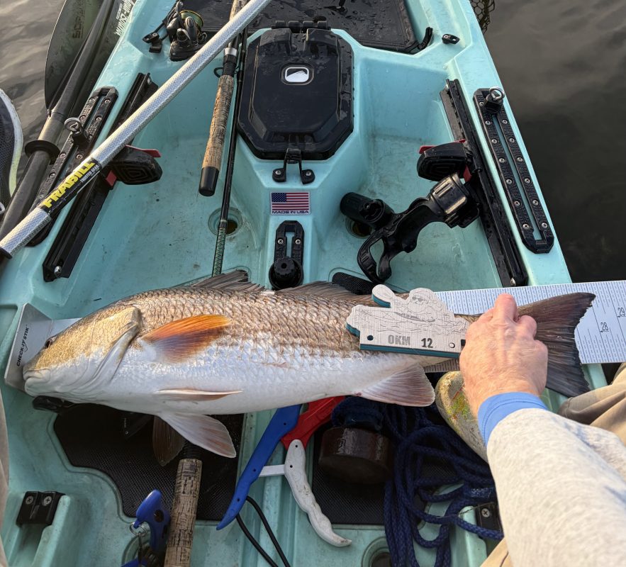 Kayak tournament redfish - Coastal Angler & The Angler Magazine