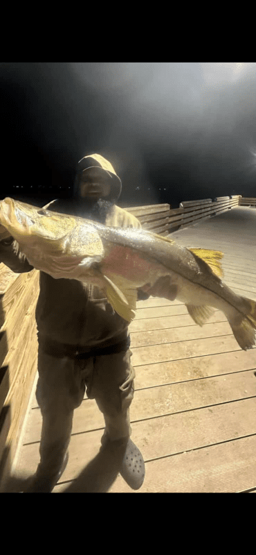 Snook 44 inch - Coastal Angler & The Angler Magazine