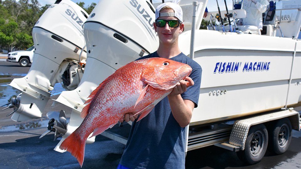 Atlantic red snapper. Photo Amanda Nalley / FWC