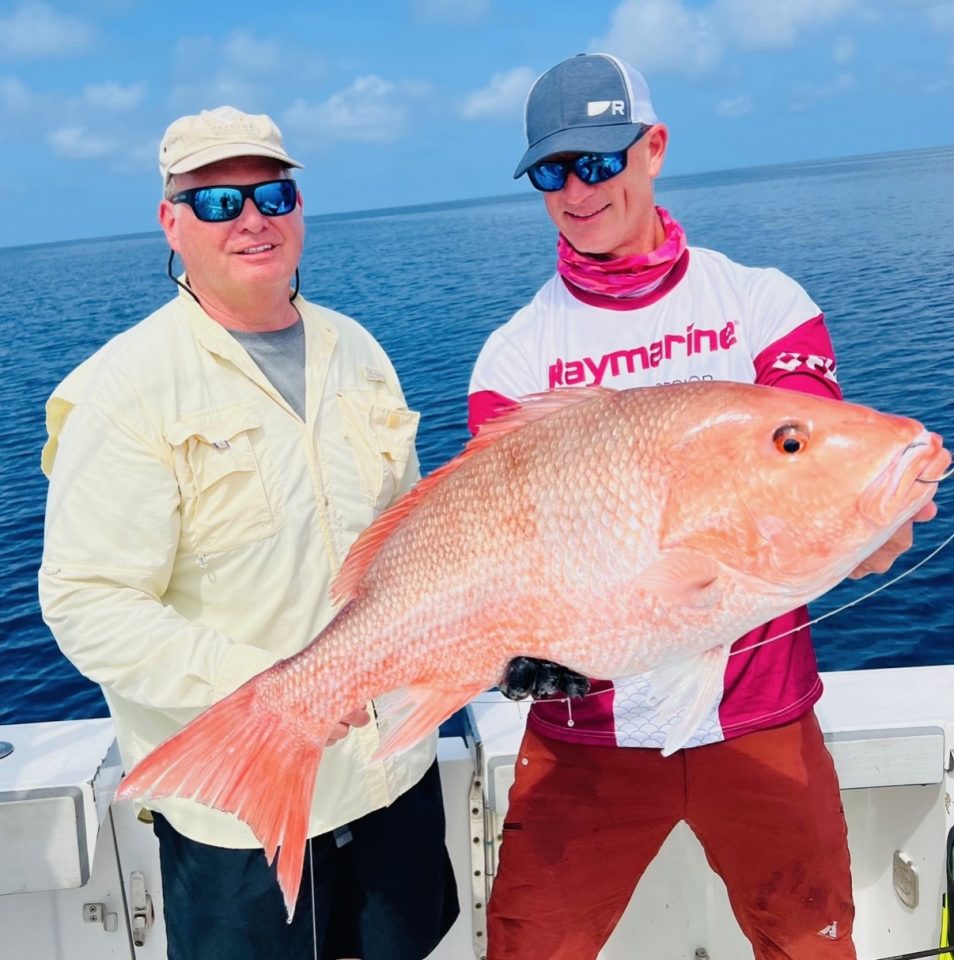 How Alligators Catch Fish - Coastal Angler & The Angler Magazine How Alligators Catch Fish - Coastal Angler & The Angler Magazine