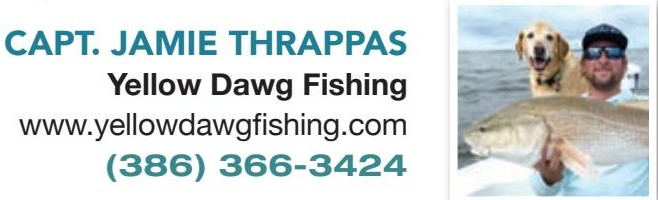 Capt. Jamie Thrappas, Yellow Dawg Fishing, (386) 366-3424, yellowdawgfishing.com