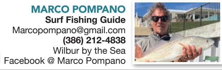 Marco Pompano, Surf Fishing Guide, Wilbur by the Sea, (386) 212-4838
