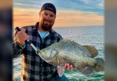 Capt. Marshall Wallot in a black cap and a plaid flannel shirt holding up a big tripletail with a fish grip, with calm water and an orange sunset sky behind him
