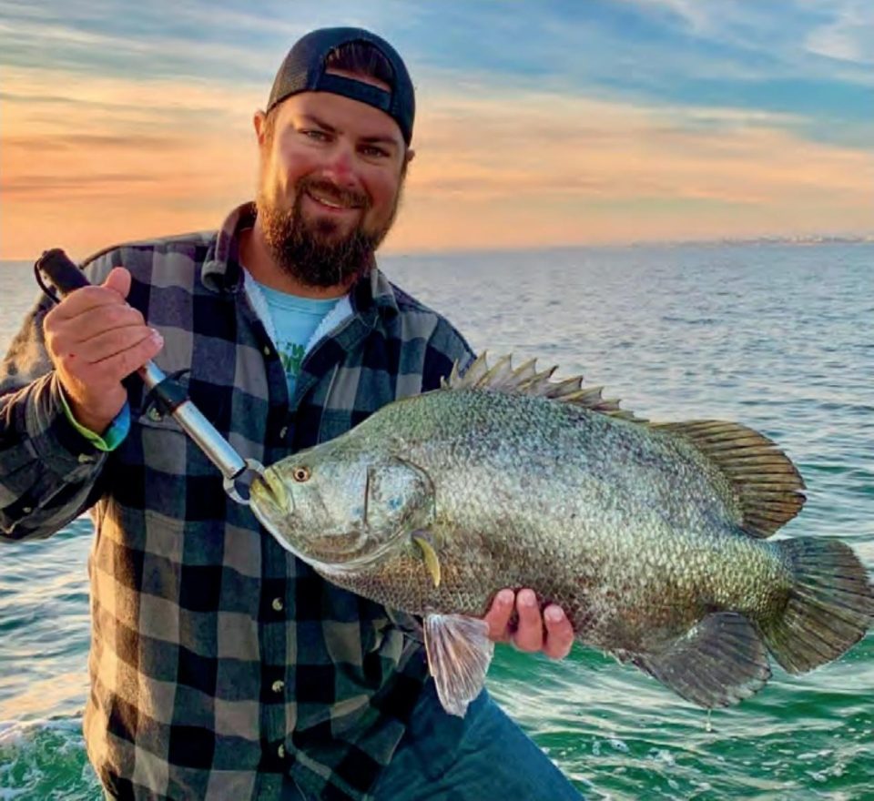 Capt. Marshall Wallot in a black cap and a plaid flannel shirt holding up a big tripletail with a fish grip, with calm water and an orange sunset sky behind him