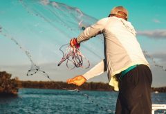 An angler in a cap and a long sleeve shirt throwing a cast net from the bow of a boat, the net spreading open against a teal sky over the water and a mangrove shoreline