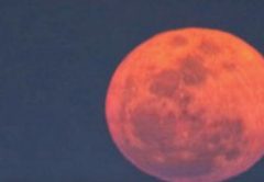 A big orange full moon glowing in a dark blue evening sky