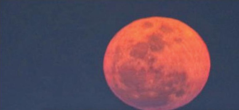 A big orange full moon glowing in a dark blue evening sky