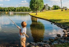 A young boy in a striped shirt fishing with a cane pole from the rocky edge of a pond, with a tall tree, green grass and a blue sky with puffy clouds