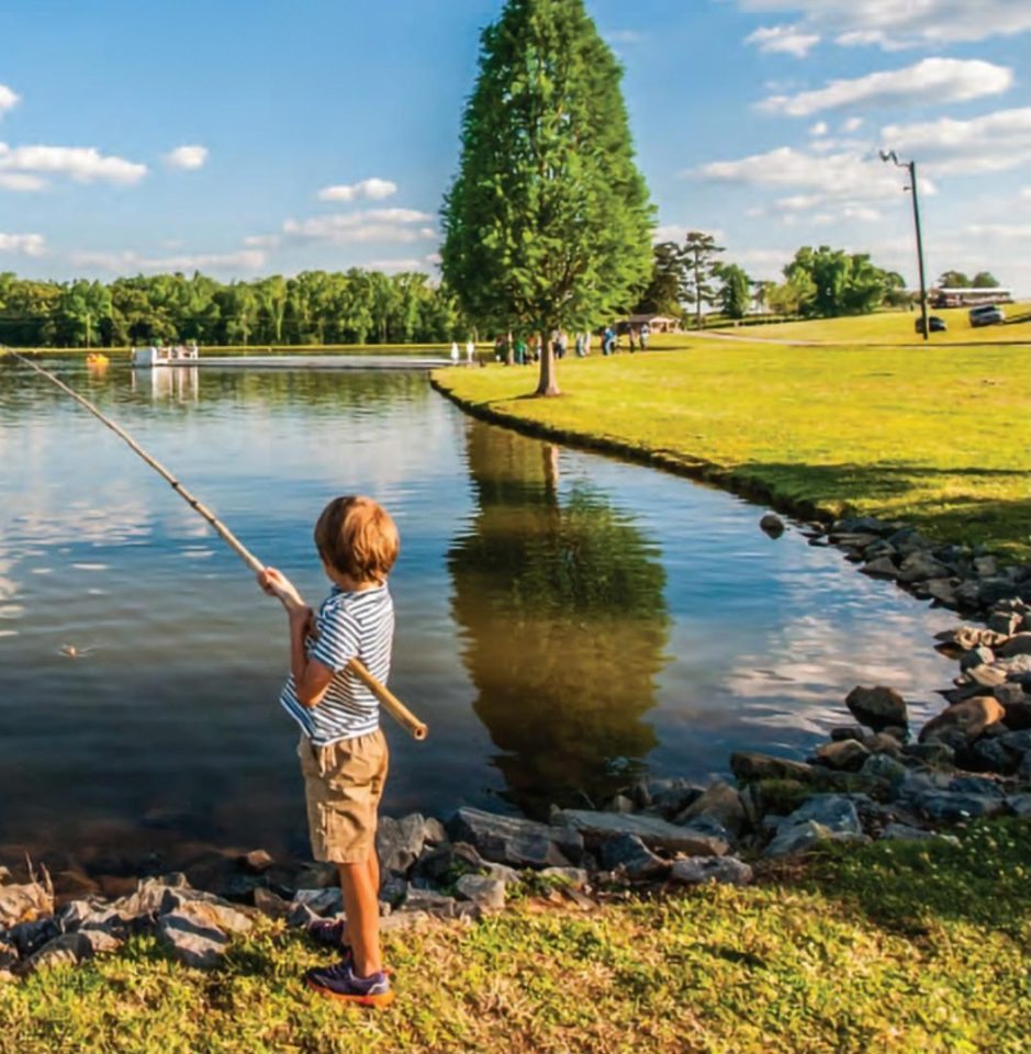 A young boy in a striped shirt fishing with a cane pole from the rocky edge of a pond, with a tall tree, green grass and a blue sky with puffy clouds