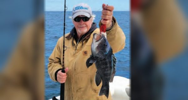 A smiling angler in a white cap, sunglasses and a tan work jacket holding a rod in one hand and a black sea bass on a jig in the other, with the ocean behind him