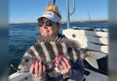 A smiling woman in a white visor and sunglasses holding up a striped sheepshead on a boat, with calm water and a distant shoreline behind her