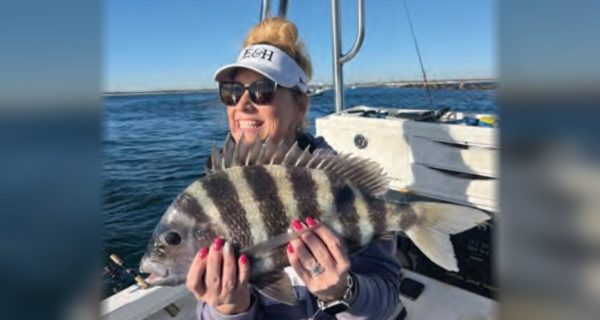 A smiling woman in a white visor and sunglasses holding up a striped sheepshead on a boat, with calm water and a distant shoreline behind her