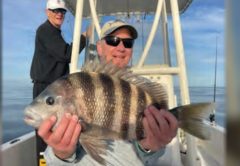 An angler in a cap and sunglasses holding up a big sheepshead on a boat, with a second angler standing behind him and calm water beyond