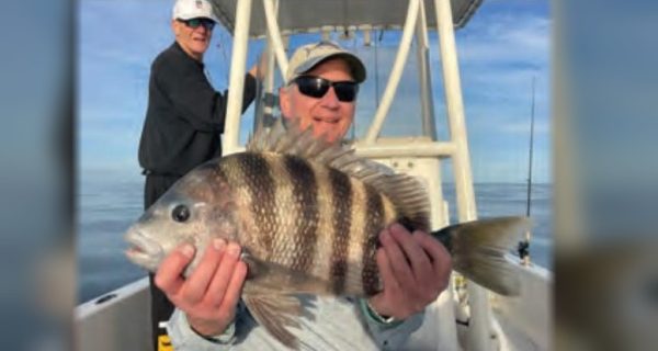 An angler in a cap and sunglasses holding up a big sheepshead on a boat, with a second angler standing behind him and calm water beyond