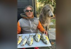 Marco Pompano in sunglasses and a gray and orange jacket holding a tray of five pompano, with a big shaggy gray dog beside him