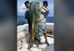 Brothers Austin and Cole Ferguson in caps and blue mirrored sunglasses holding up a huge mahi between them on the deck of a boat offshore