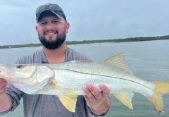 A bearded angler with sunglasses on the brim of his cap holding a snook on a boat, with open water and a tree line behind him