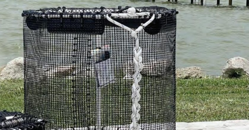 A tall black mesh bait pen with white rope handles on a waterfront patio, with a second pen beside it and a long pier behind