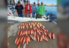 Five anglers standing on a boat at the dock behind a big spread of snapper and other bottom fish laid out on the dock