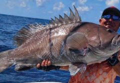 Capt. Tim Russell in a cap and sunglasses holding up a huge grouper on his boat offshore, with blue water behind him