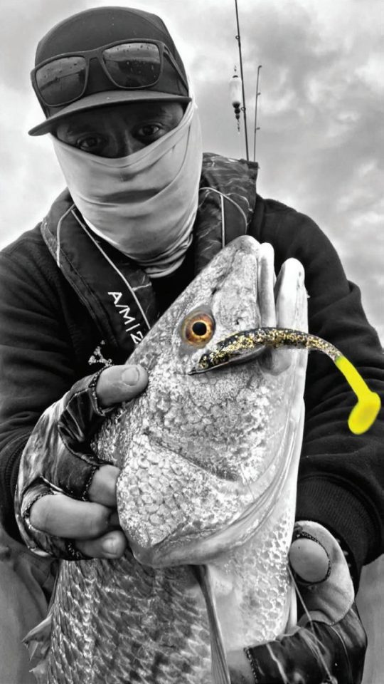 An angler in a cap and face gaiter holding up a big redfish with a gold flake paddle tail lure in its mouth, in black and white with the eye and lure in color