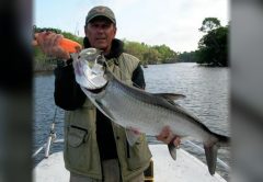 Capt. Barry Englehardt in a cap and vest holding up a tarpon on his boat, with a tree-lined river behind him