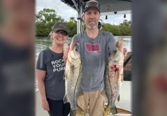 A smiling couple on a boat in the river, the man holding up two snook, with mangroves behind them