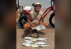 Marco Pompano crouching on the beach holding a pompano, with more pompano laid out on the sand and his red fat tire bike behind him