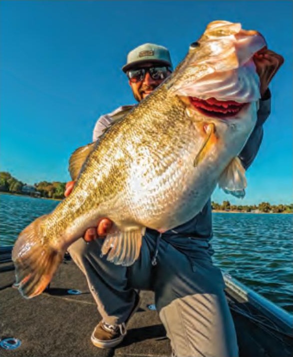 An angler in a cap and sunglasses holding up a giant largemouth bass on the deck of a bass boat