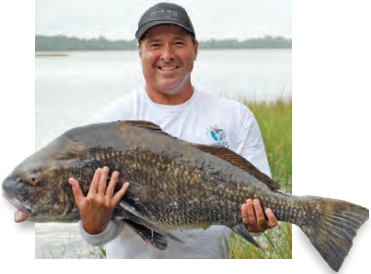 Capt. Mike Smith holding up a big black drum, about 50 pounds, beside a salt marsh
