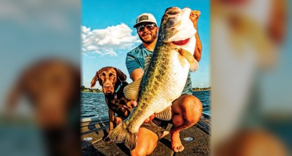 Capt. Tyler Woolcott holding up a huge largemouth bass on the deck of his boat next to his chocolate lab