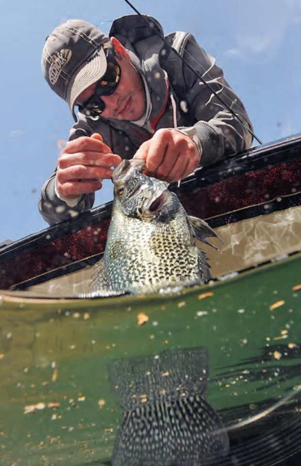 An angler in a cap and sunglasses leaning over the side of a boat to lift a crappie out of the water