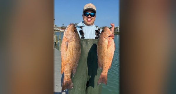 A smiling angler in waders and blue sunglasses holding up two big snapper on a dock