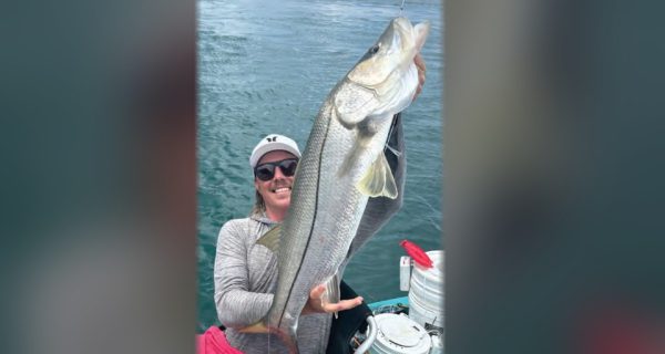 An angler in a white cap and sunglasses holding up a big snook in his kayak