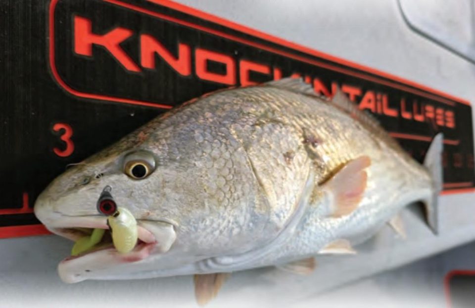 A redfish with a chartreuse soft plastic lure in its mouth on a fish measuring board