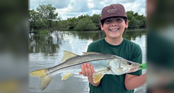 A smiling boy in a cap holding a snook in front of the mangroves