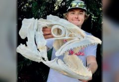 A young man in a cap holding up a large cleaned fish skull