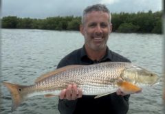A smiling angler holding a redfish in front of the mangroves