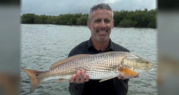 A smiling angler holding a redfish in front of the mangroves