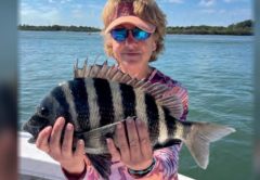 A woman in a visor and sunglasses holding a big sheepshead on a boat