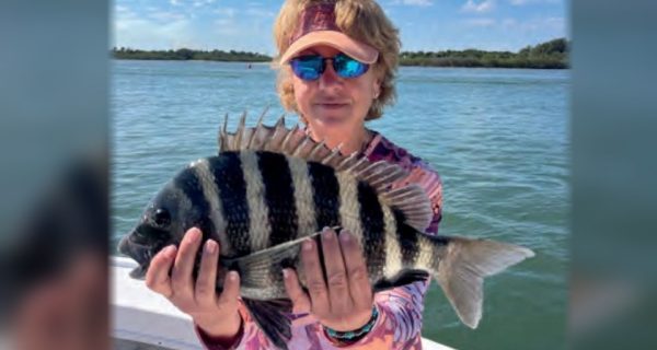 A woman in a visor and sunglasses holding a big sheepshead on a boat