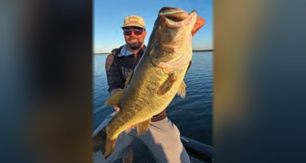 An angler in a cap and sunglasses holding a big largemouth bass on a boat