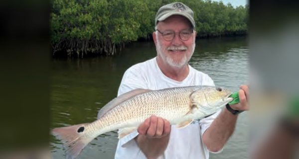 An angler in a cap and glasses holding a redfish in front of the mangroves