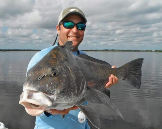 Capt. Bucky Goldman holding a black drum he caught sight casting a live shrimp