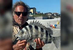 Marco Pompano holding a big sheepshead on the beach