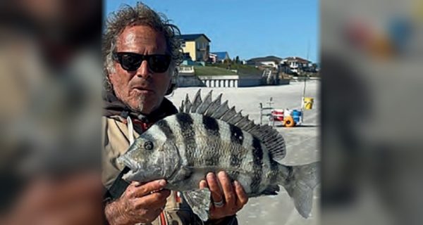 Marco Pompano holding a big sheepshead on the beach