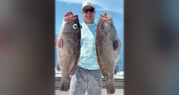 An angler in a white cap and sunglasses holding two big grouper offshore