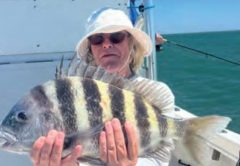 An angler in a white sun hat holding a big sheepshead on a boat