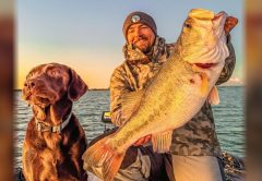 An angler holding a giant largemouth bass next to a chocolate Lab on a boat