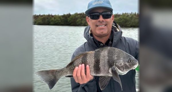 An angler holding a black drum with a mangrove shoreline behind him